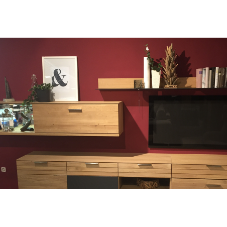 Application image of universal plug AZ/AZK: Hanging shelf systems in the living room