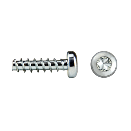 CELOPLAST screw thread CL81T for plastics pan head TORX®