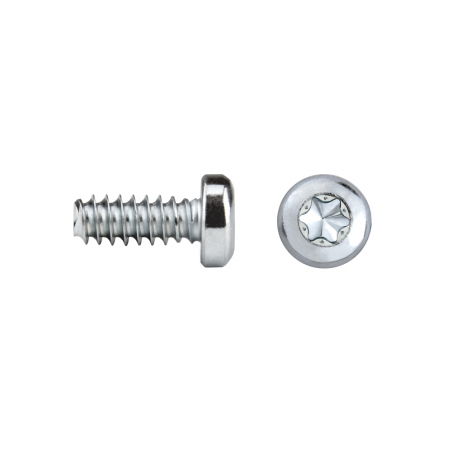 REMFORM®F screw pan head FF81T TORX®