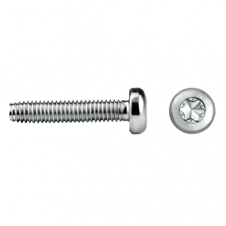 TAPTITE 2000®  NT85T trilobular screw pan head TORX®