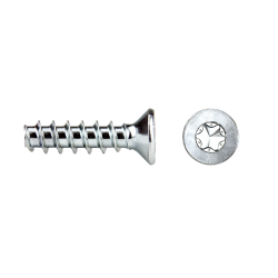REMFORM® screw countersunk...