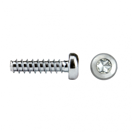 REMFORM® II "HS" screw pan head RHS81P TORX®plus