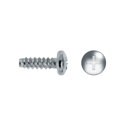 Self-tapping screw without...