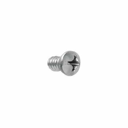 Self-tapping screw CHJH