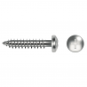 Self-tapping screw DIN 7981