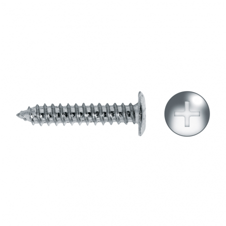 Self-tapping low head screw FS