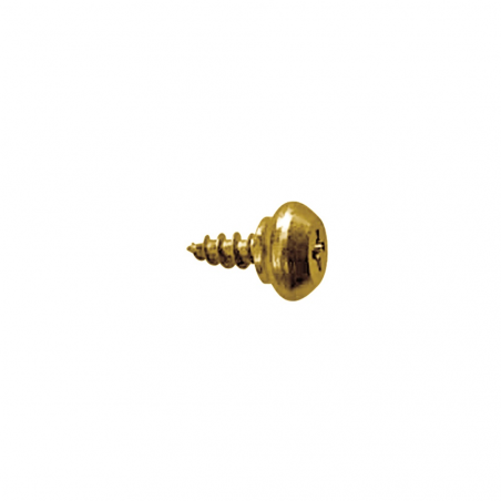 PVC thread screw special head RH