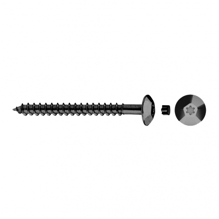 Tamper-proof screw  TIC