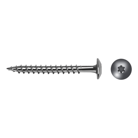 Stainless steel screw mushroom head BTW