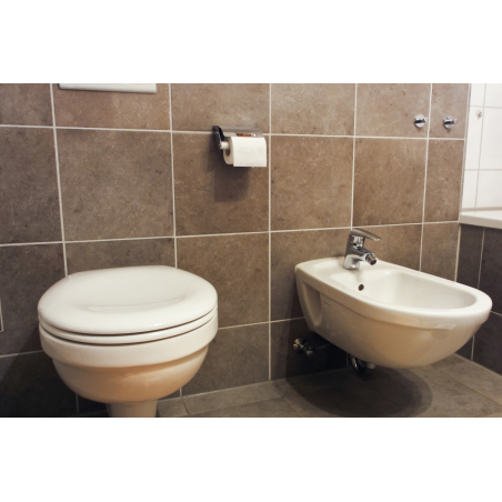 Application image of multi-purpose plug MZ: sanitary fixtures in the bathroom such as toilet paper holder, toilet or bidet